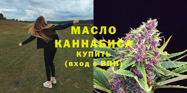 прущая мука Вяземский