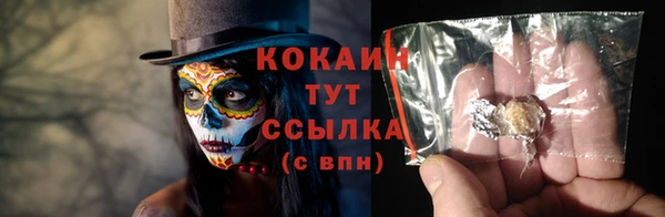 тгк Богородицк