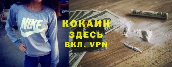 тгк Богородицк