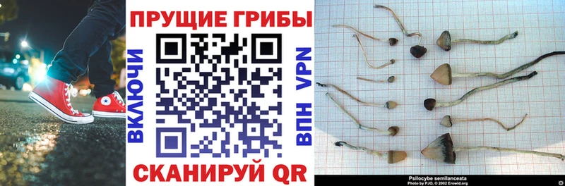 Галлюциногенные грибы Magic Shrooms  наркошоп  Миллерово 